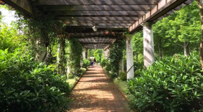 Explore the Garden - Daniel Stowe Botanical Garden