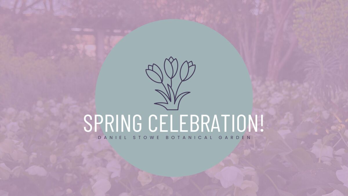 Spring Celebration Weekend Daniel Stowe Botanical Garden