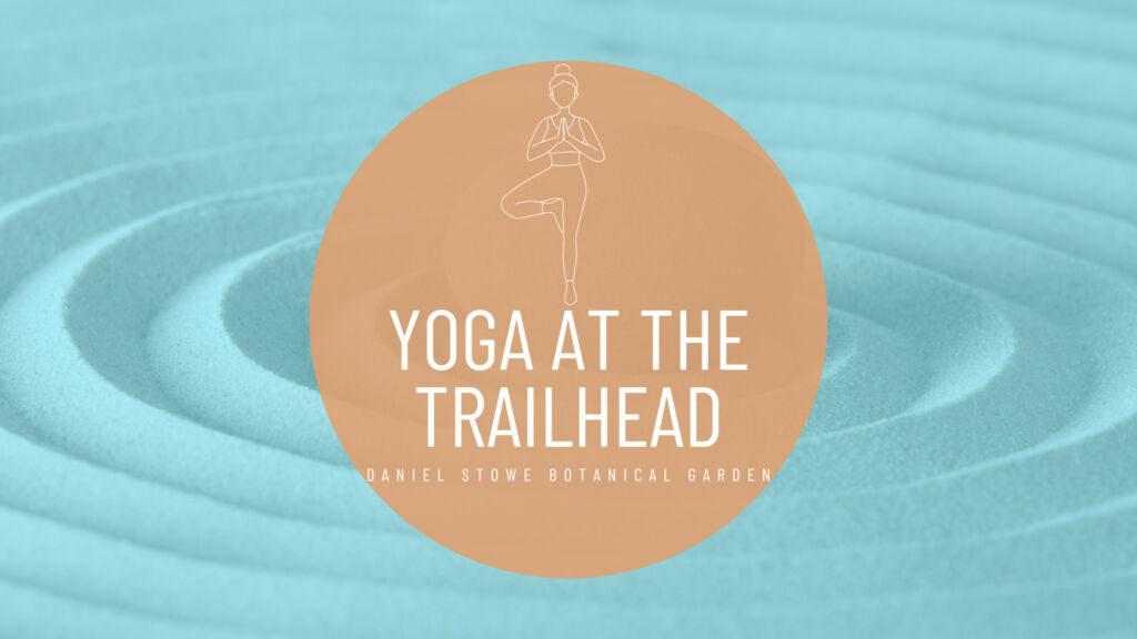 Yoga at the Trailhead graphic