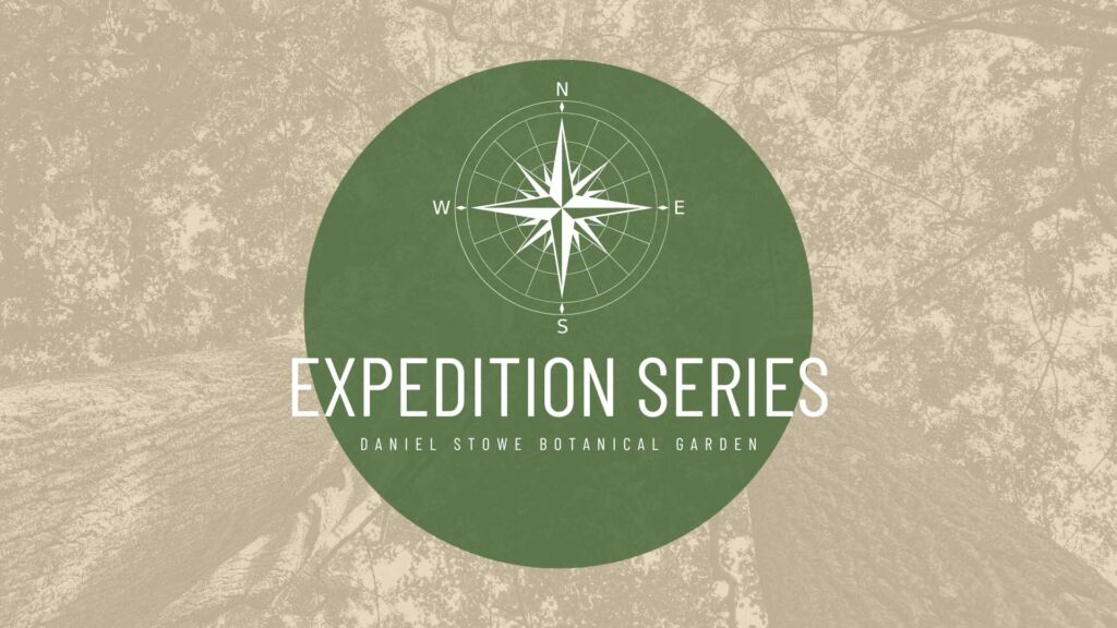 Expedition Series graphic